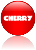 Rendered Image