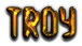 TROY Logo Style