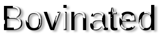 Rendered Image