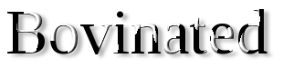 Rendered Image