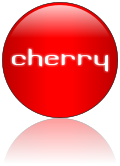 Rendered Image