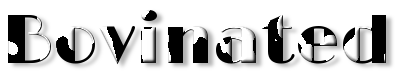 Rendered Image