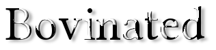 Rendered Image