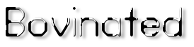Rendered Image