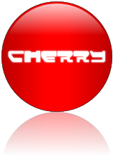 Rendered Image