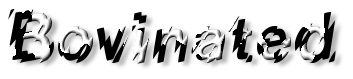 Rendered Image