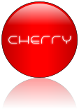 Rendered Image