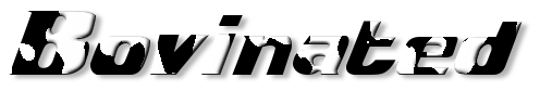 Rendered Image
