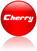 Rendered Image