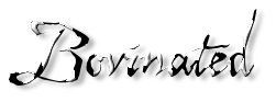 Rendered Image