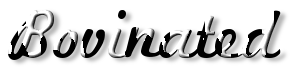 Rendered Image