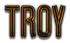 TROY Logo Style