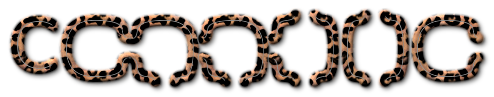 Rendered Image