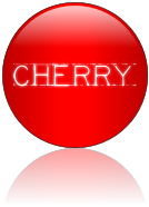 Rendered Image