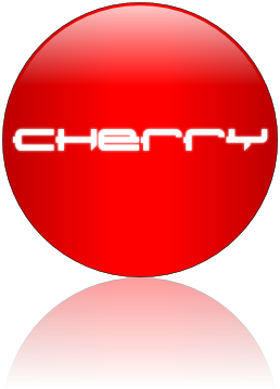 Rendered Image
