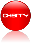 Rendered Image