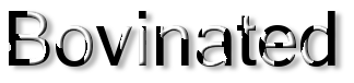 Rendered Image