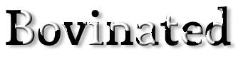 Rendered Image