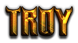 TROY Logo Style