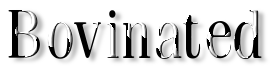 Rendered Image