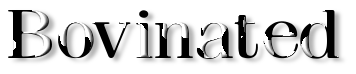 Rendered Image