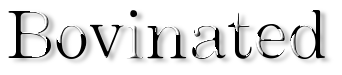 Rendered Image