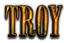 TROY Logo Style