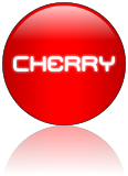 Rendered Image