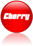 Rendered Image
