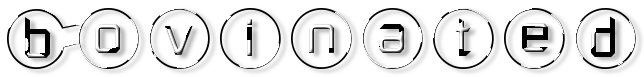 Rendered Image