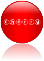 Rendered Image