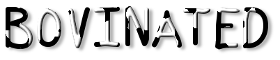 Rendered Image