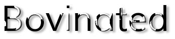 Rendered Image