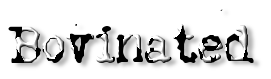 Rendered Image