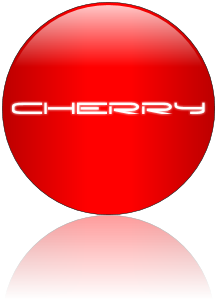 Rendered Image