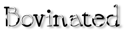 Rendered Image