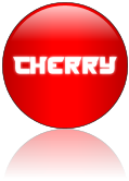 Rendered Image