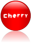 Rendered Image
