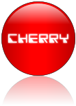 Rendered Image