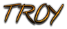 TROY Logo Style