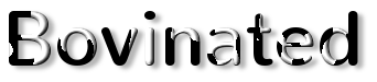 Rendered Image