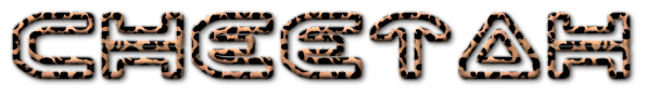 Rendered Image