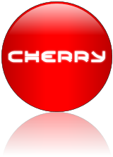 Rendered Image