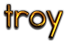 TROY Logo Style