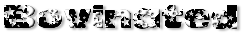 Rendered Image