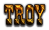 TROY Logo Style