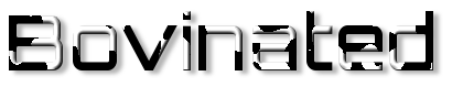 Rendered Image