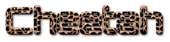 Cheetah Logo Style