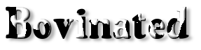Rendered Image