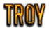 TROY Logo Style